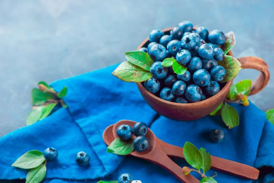 Blueberries The Antioxidant Powerhouse