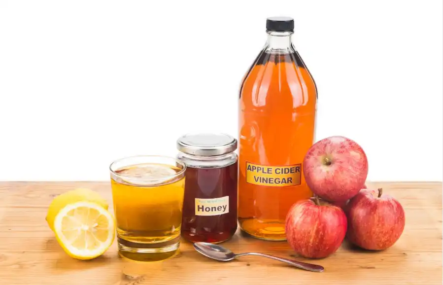 Apple Cider Vinegar A Tonic for Fat Loss