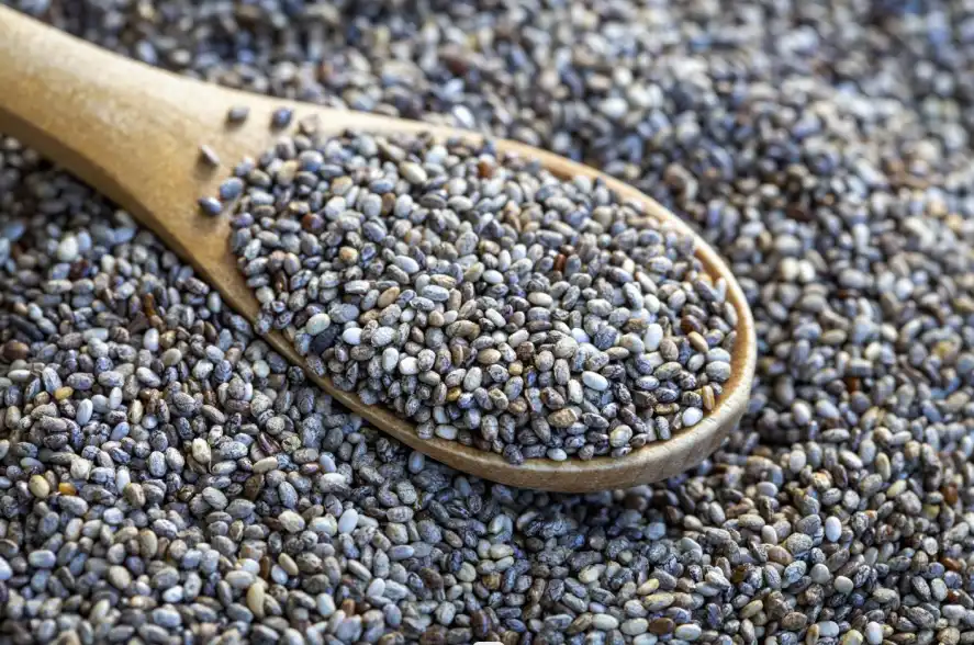 Chia Seeds Tiny Superfood with Big Benefits
