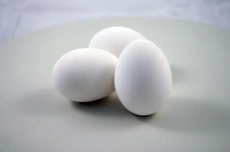 Eggs