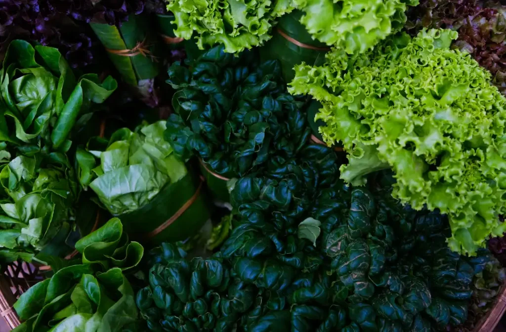 Leafy Greens The Calorie-Light Powerhouse