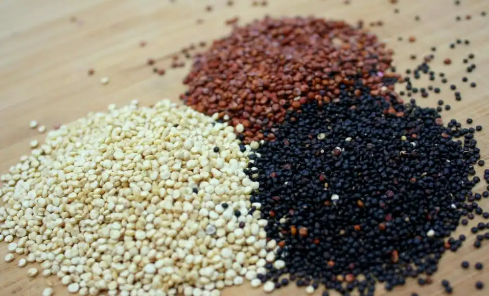 Quinoa